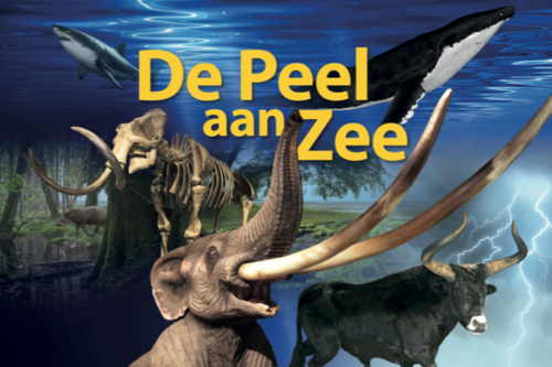 De peel aan zee