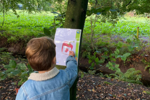 Foto bij Groente- en fruitwandeling