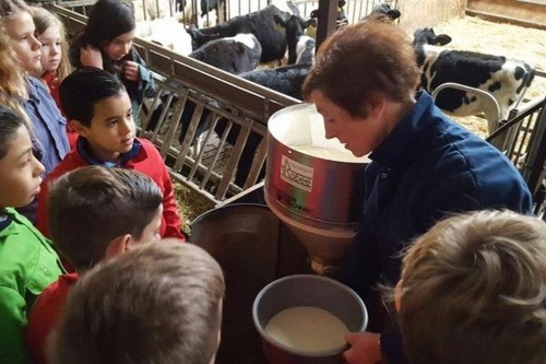 Kinderen krijgen rondleiding op de boerderij.